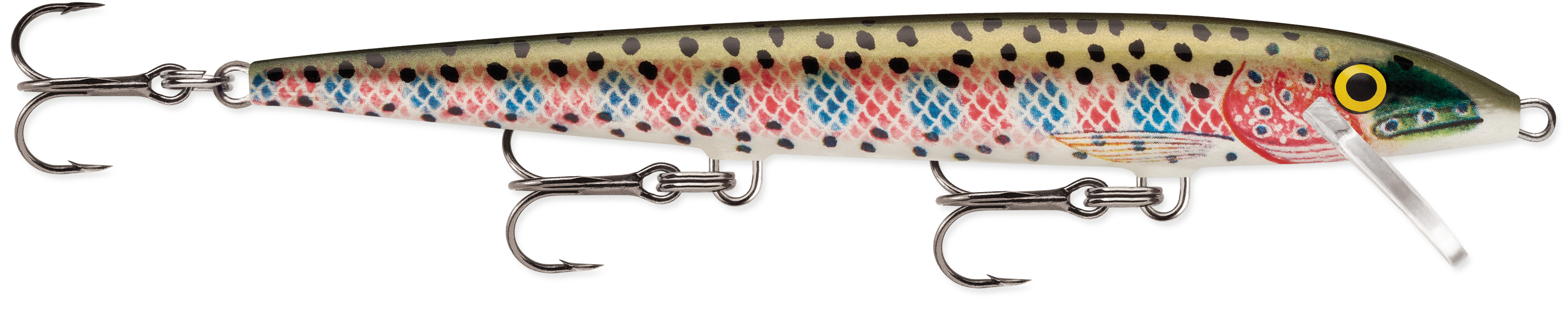 Rainbow	Trout