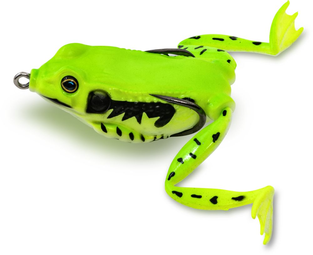 Grass Frog