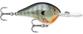 Bluegill (BG)