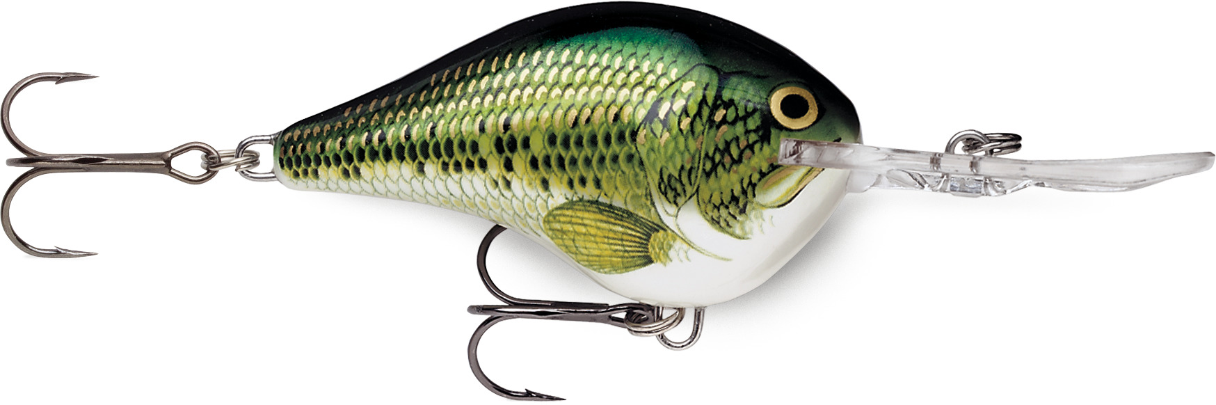 Baby Bass (BB)