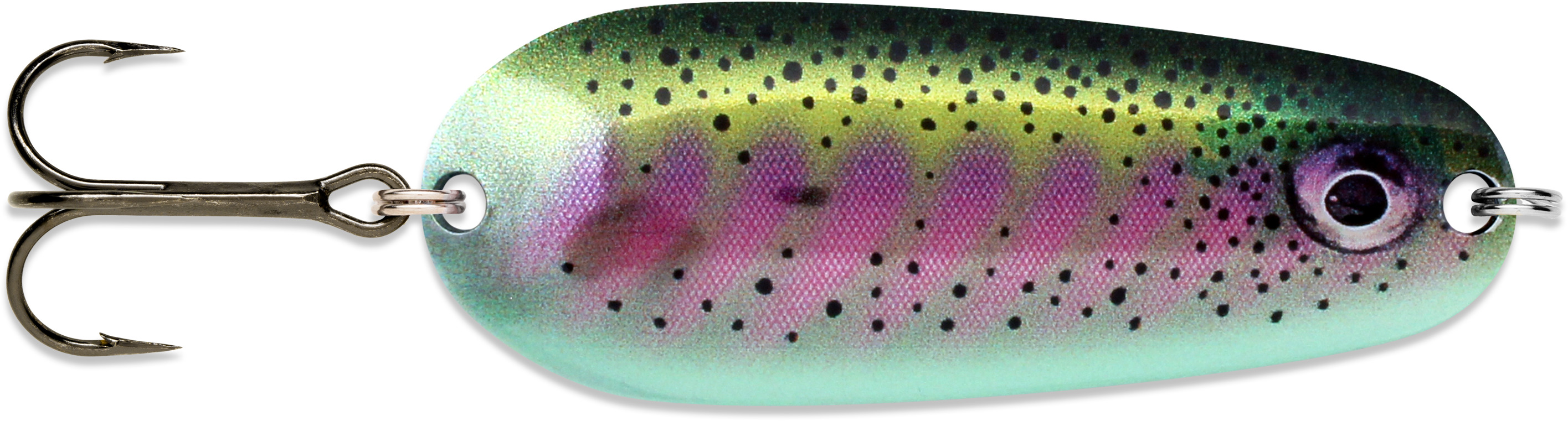 Rainbow Trout