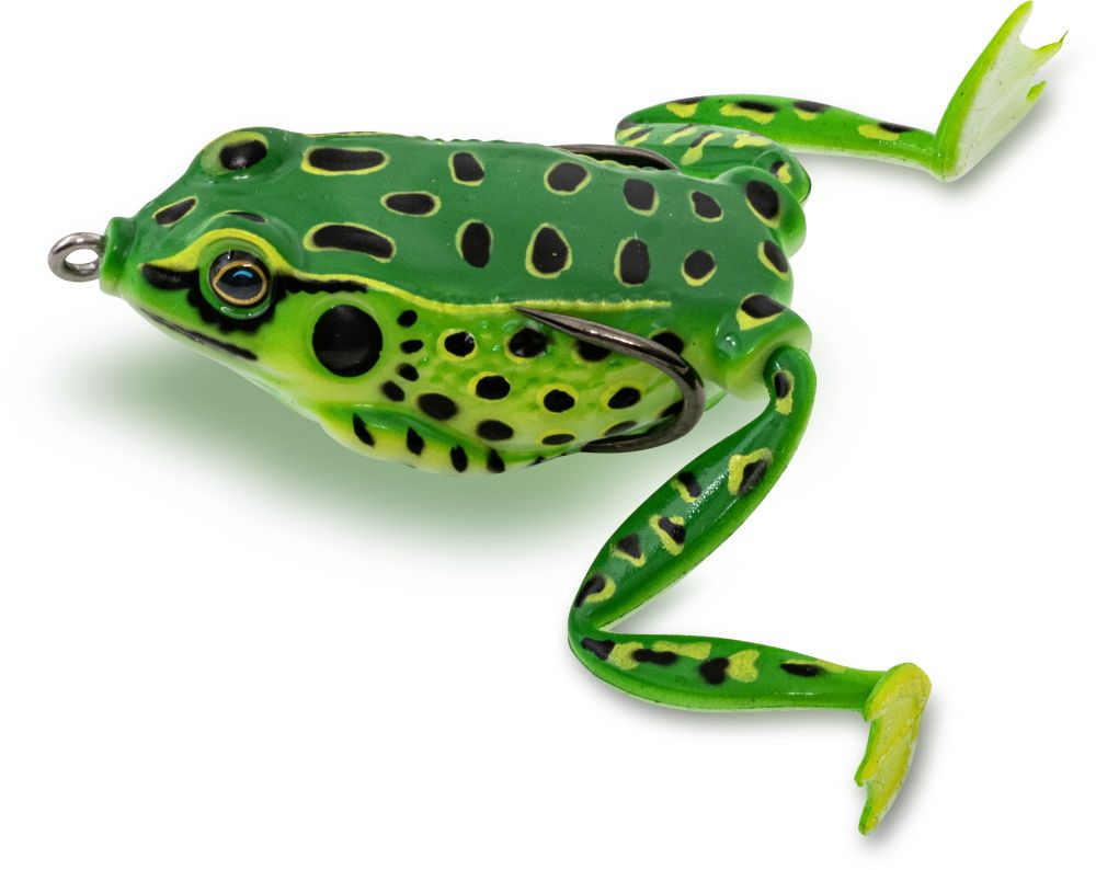 Pool Frog