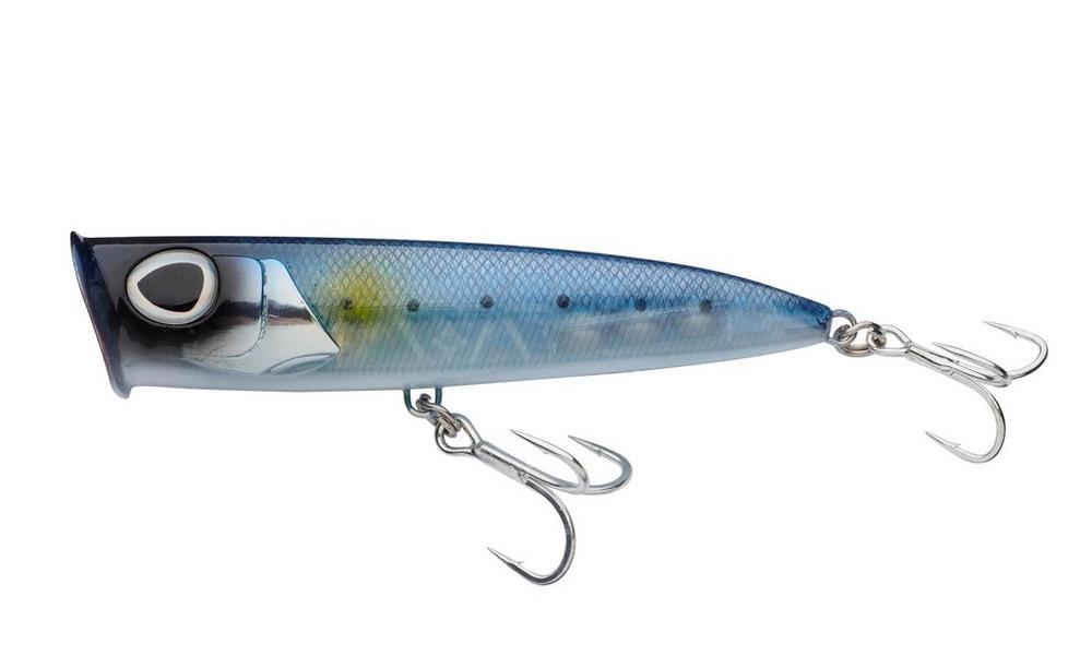 Sardine