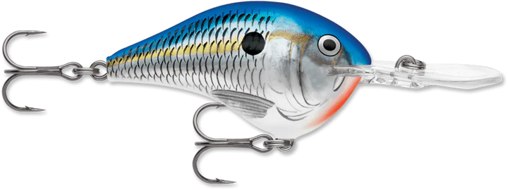 Blue Shad (BSD)