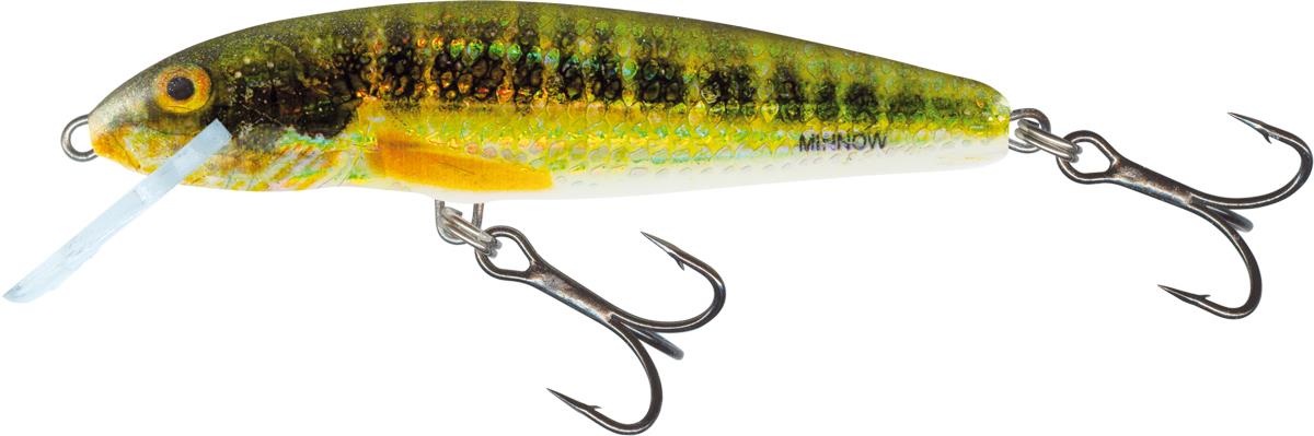 Holo Real Minnow 7cm Sinking