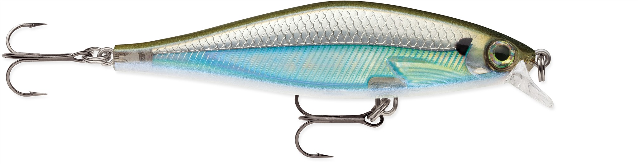 Moss Black Shiner