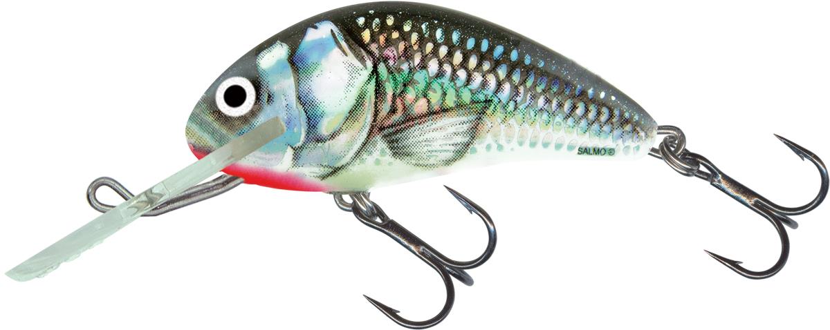 Salmo Holographic Grey Shiner 5cm Sinking