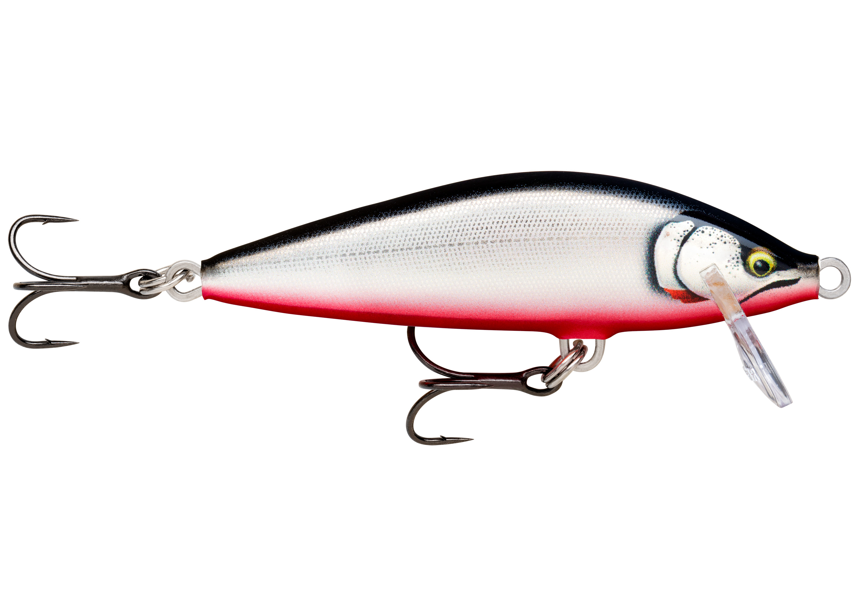 Glided Red Belly (GDRB)
