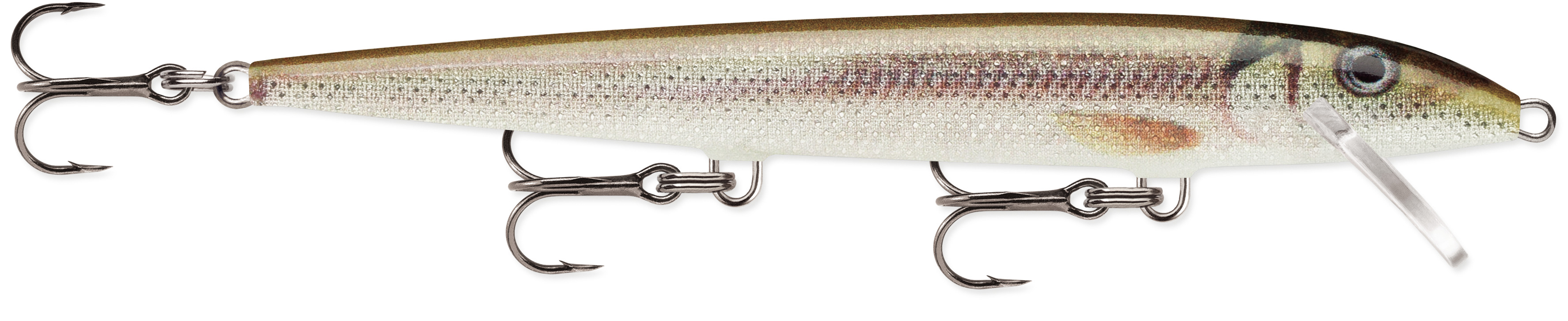 Live Smelt