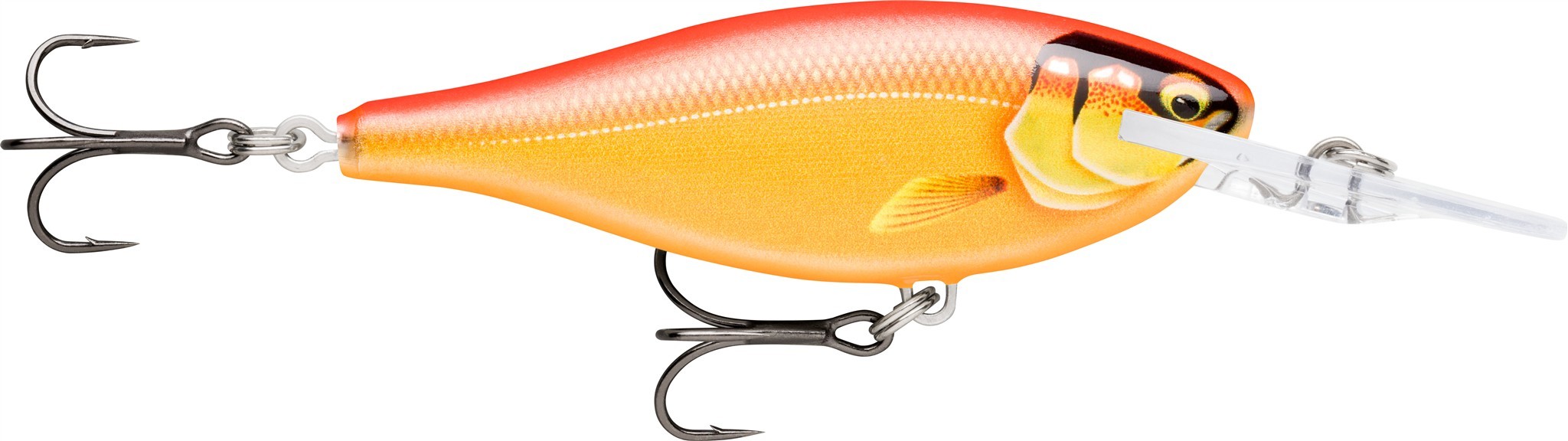 Gilded Gold Orange (GDGO)