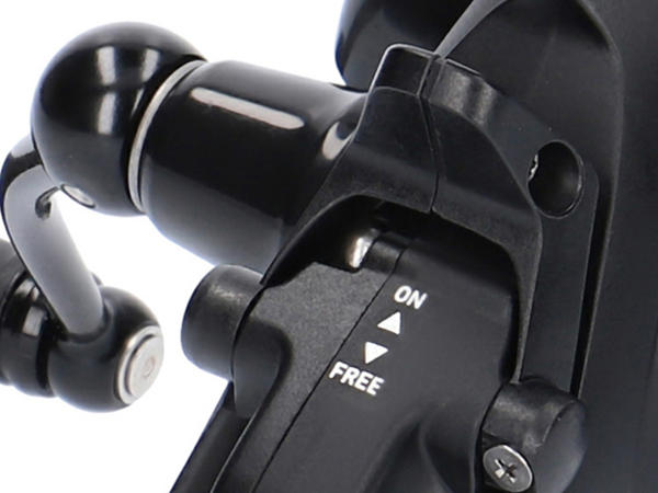 Daiwa Black Widow BR LT 3000