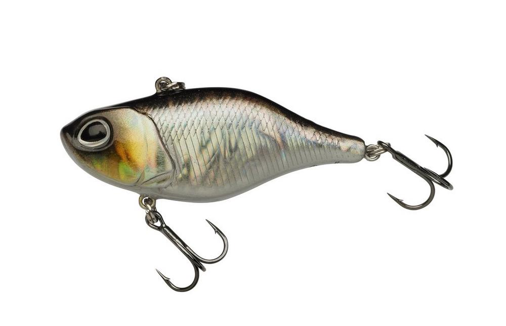 Baitfish