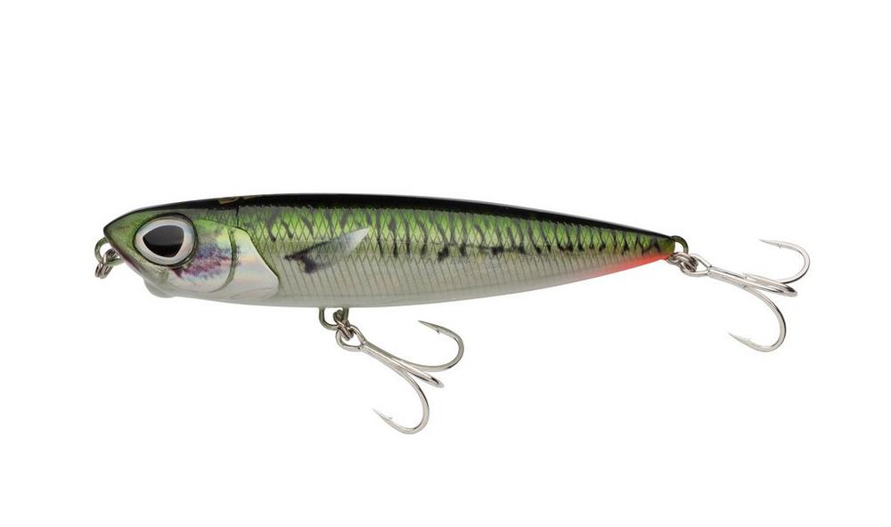 Green Mackerel