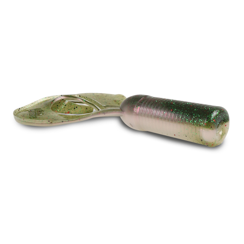 Arkansas Shiner