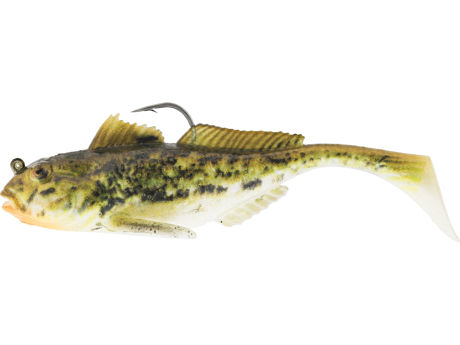 Spotted Goby