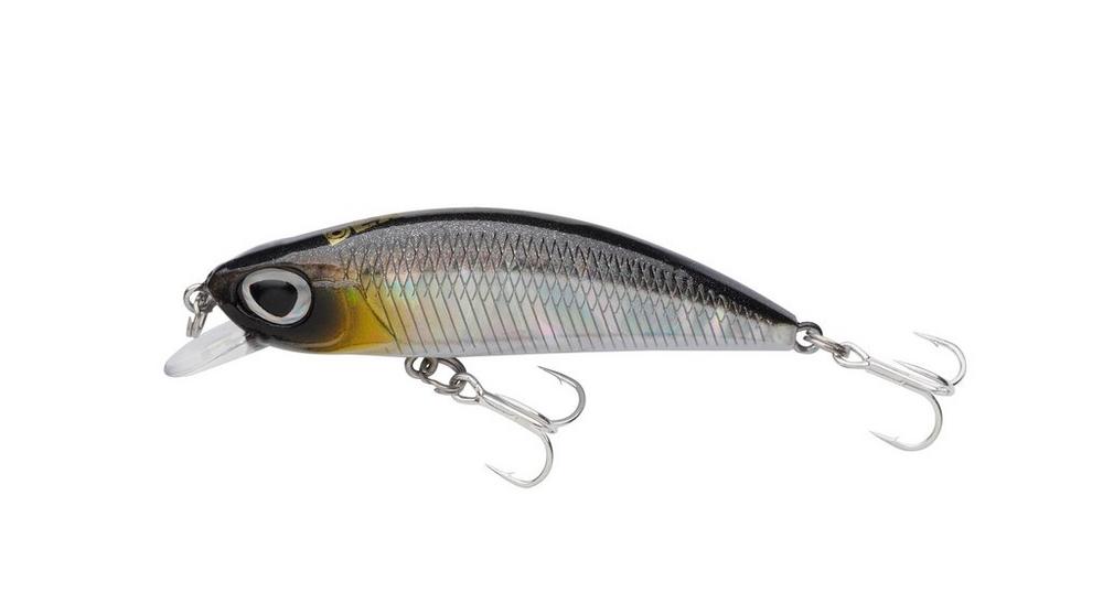 Baitfish