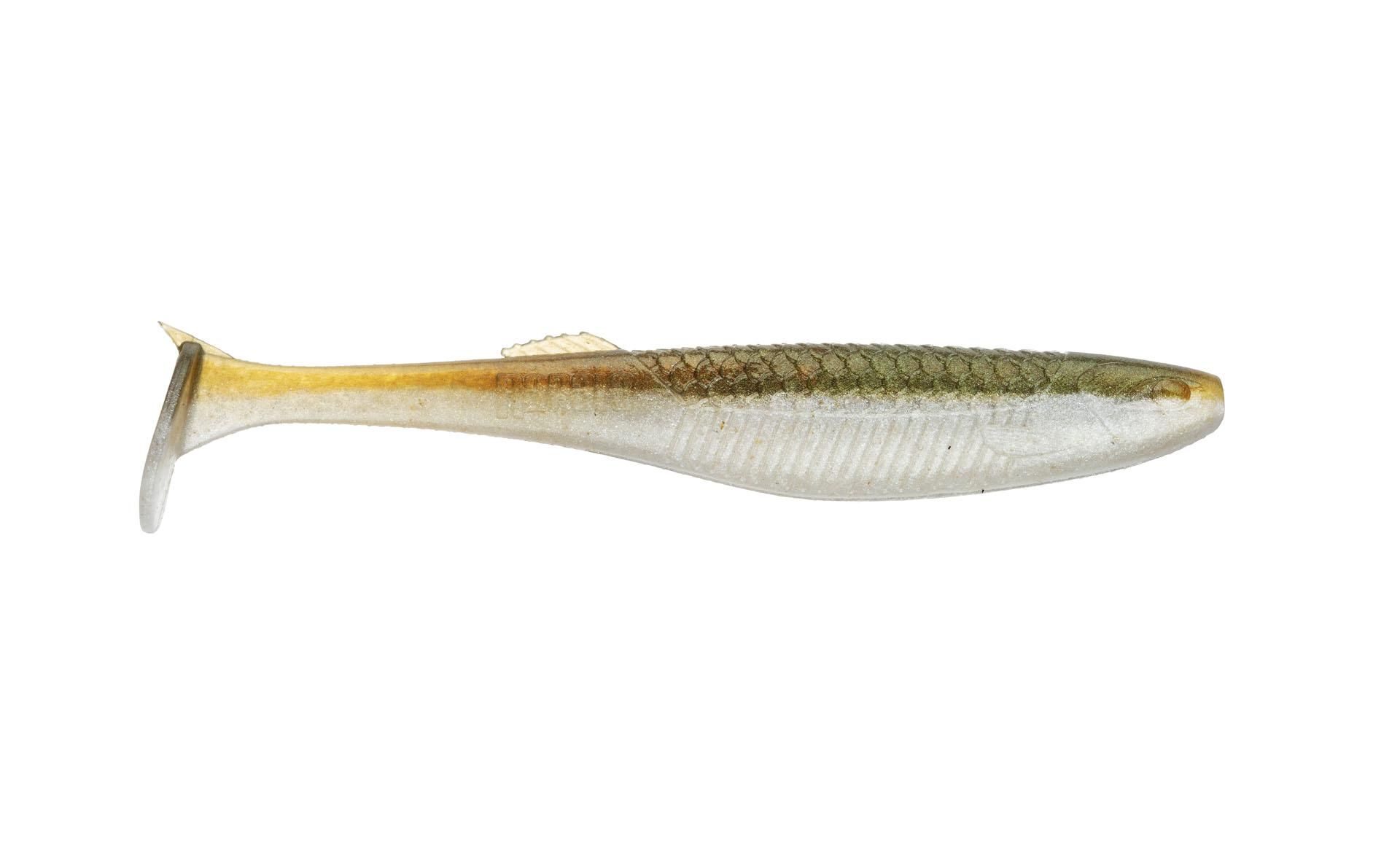 Arkansas Shiner (ASH)