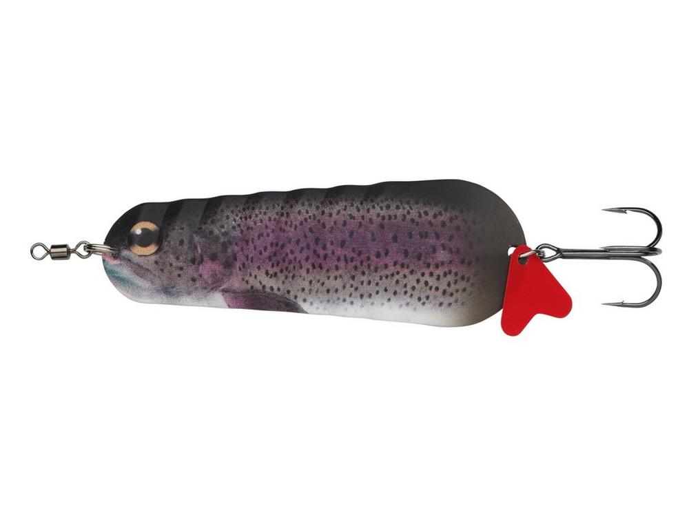 Rainbow Trout