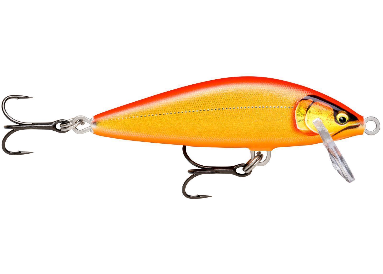 Glided Gold Orange (GDGO)