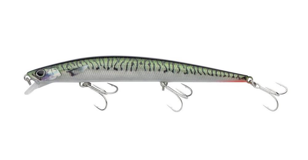 Green Mackerel