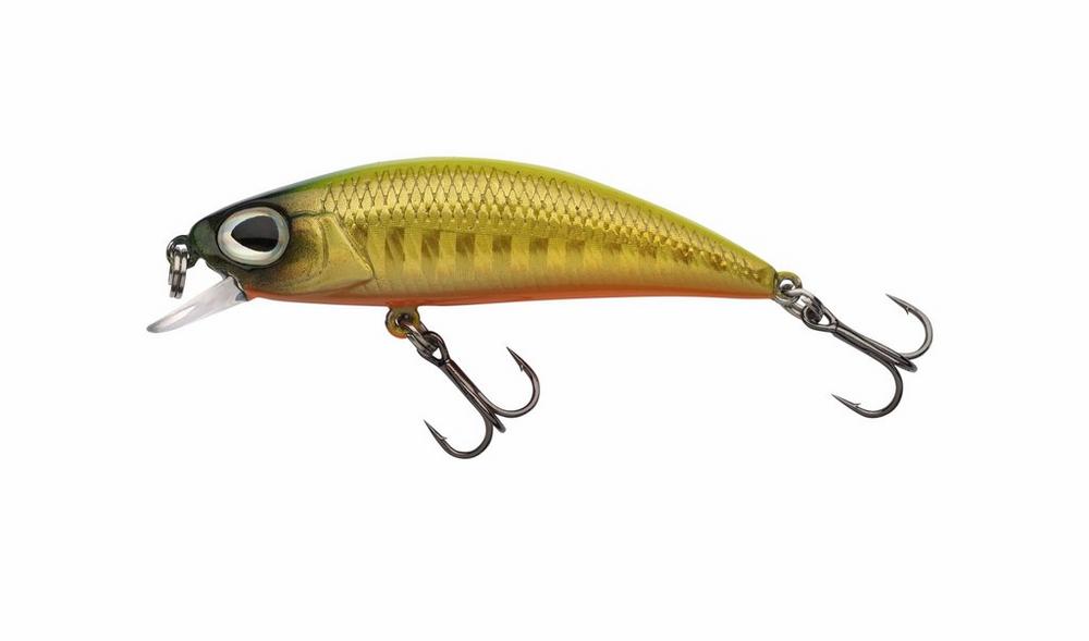 Yellow Back Minnow