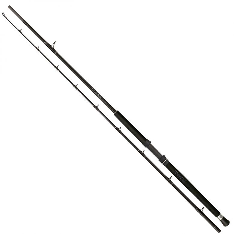 Black Cat Cat Buster Multistyle; L: 2,90 m; Wg: 300 - 500 gr. Black Cat Cat Buster Multistyle; L: 2,90 m; Wg: 300 - 500 gr.