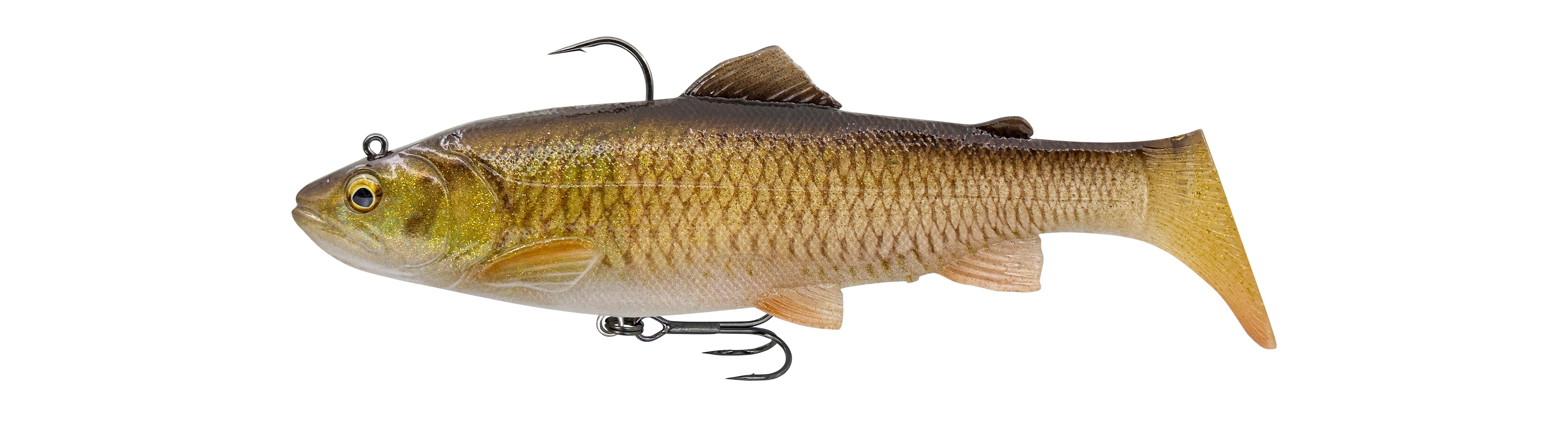 Clear Chub