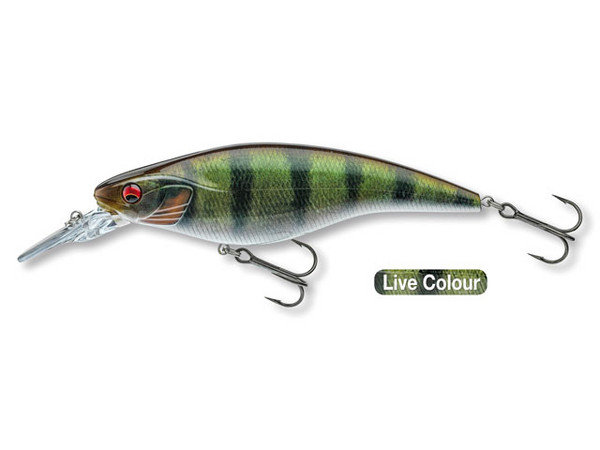 Daiwa PX Flat BT100MR Live Perch