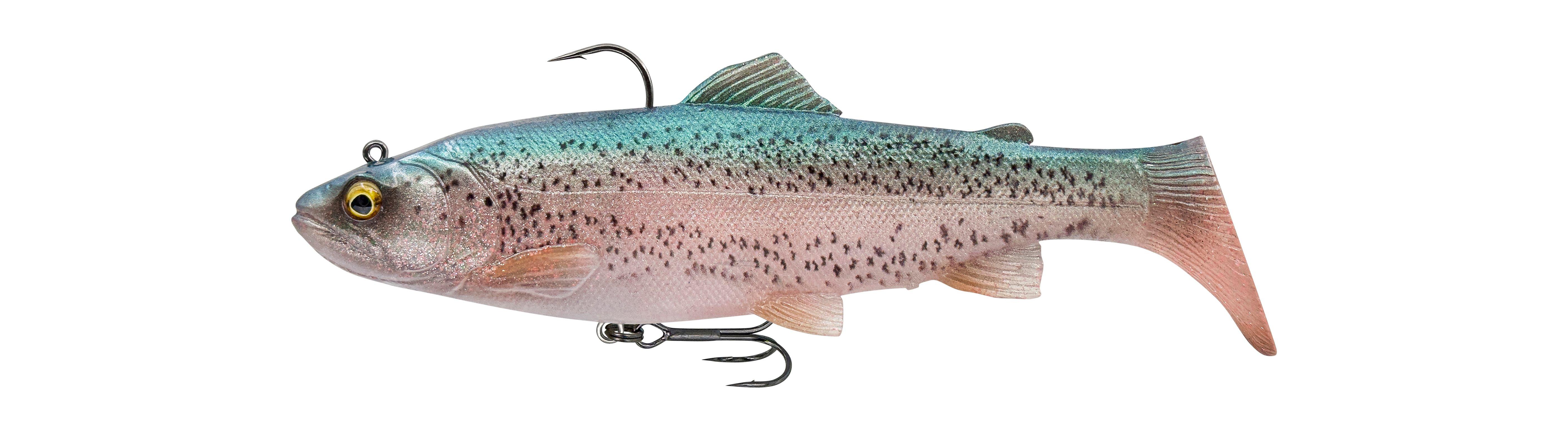 Clear Rainbow Trout