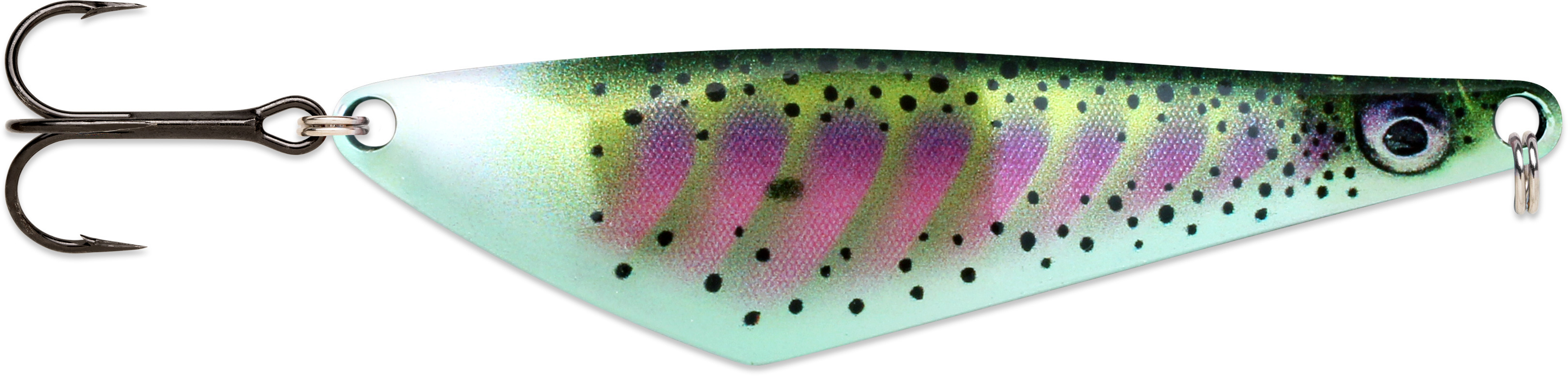 Rainbow Trout