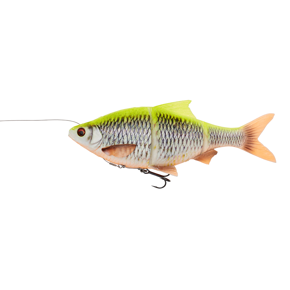 Lemon Roach