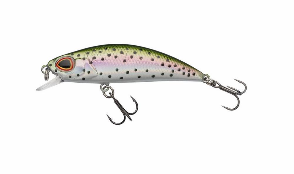 Rainbow Trout
