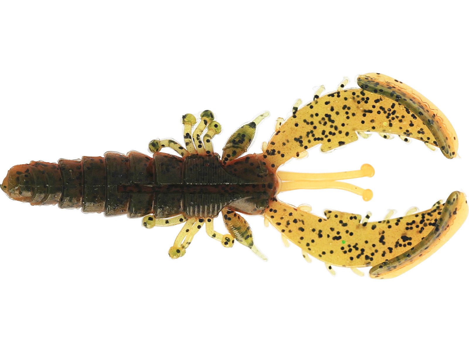 UV Craw