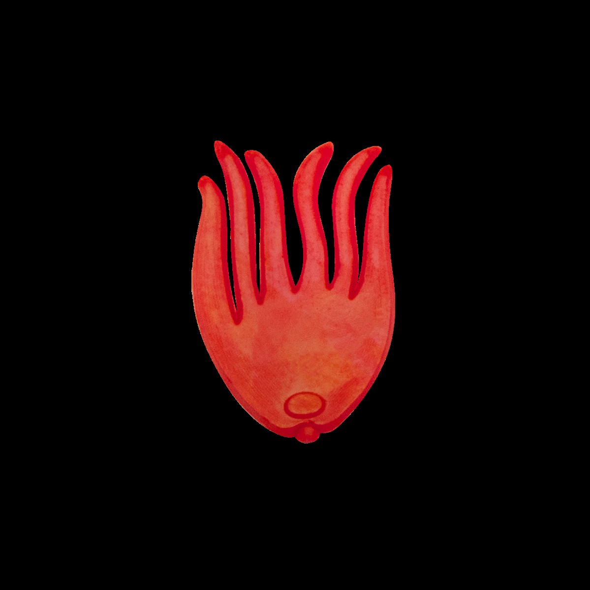 Zebco DB Series Bait Holding Flags