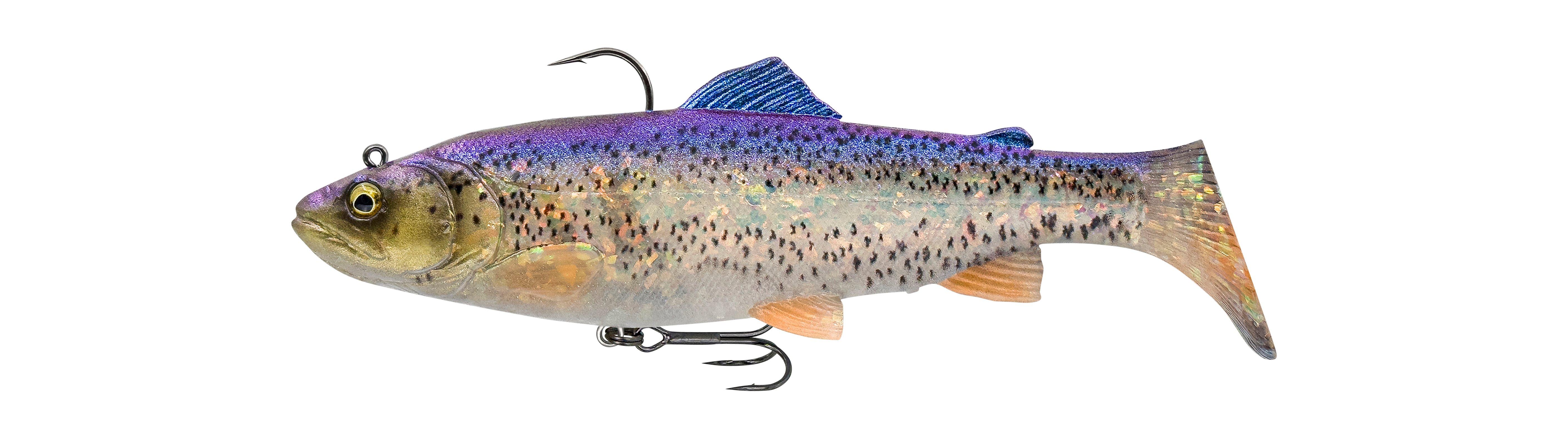 Clear Blue Trout