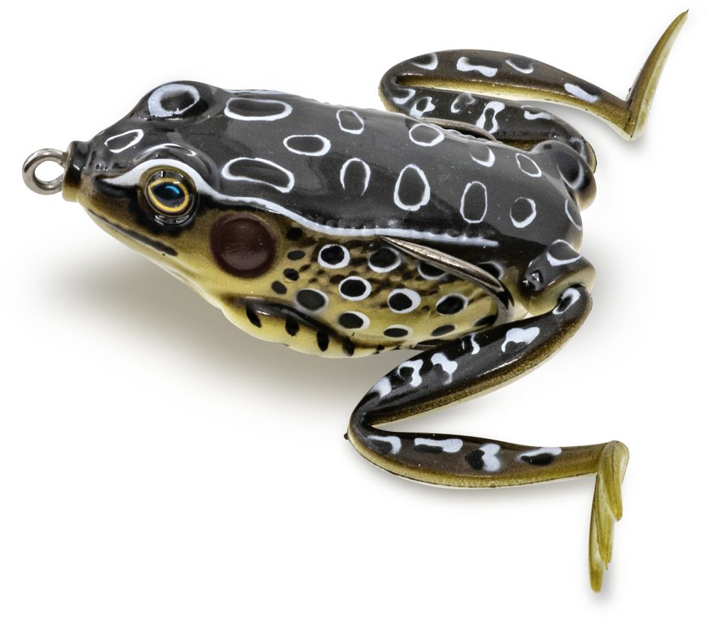 Tree Frog