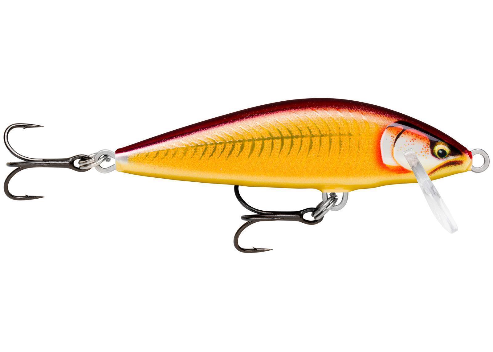 Glided Gold Red (GDGR)