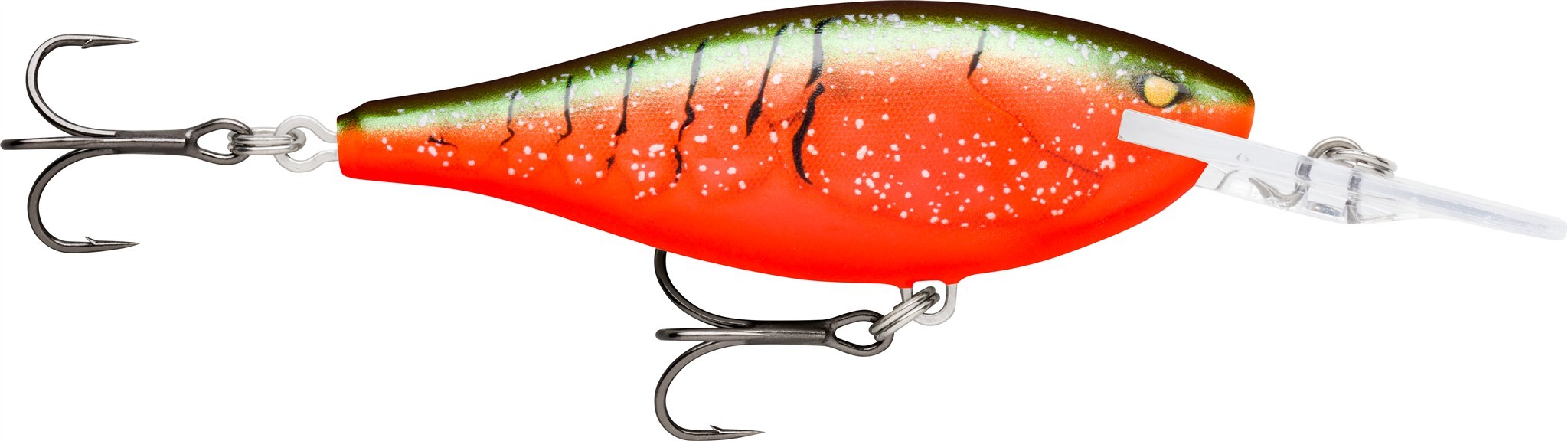 Gilded Red Crawdad (GDRCW)