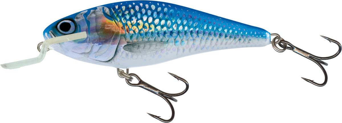 Salmo Holo Shiner 5cm Shallow Runner