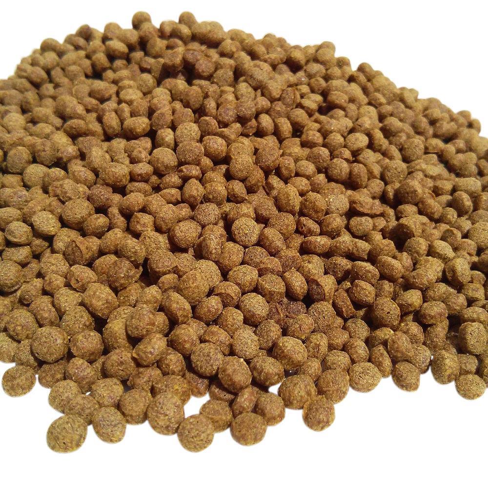 Coppens WHEAT GERM (6.0 mm) Koi Winterfutter; 2 Kg