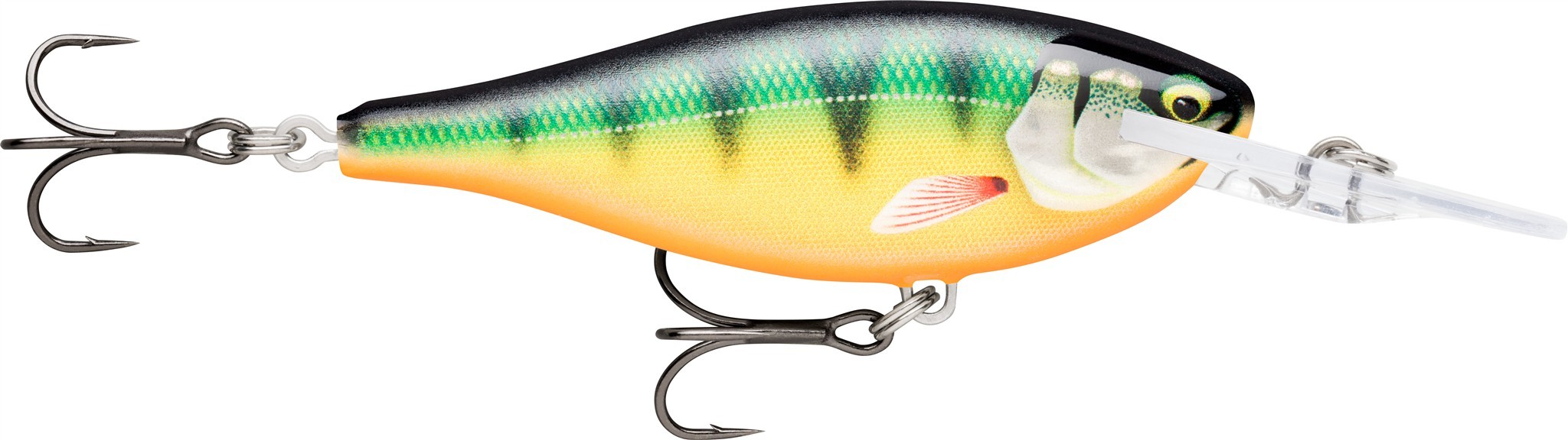 Gilded Perch (GDP)
