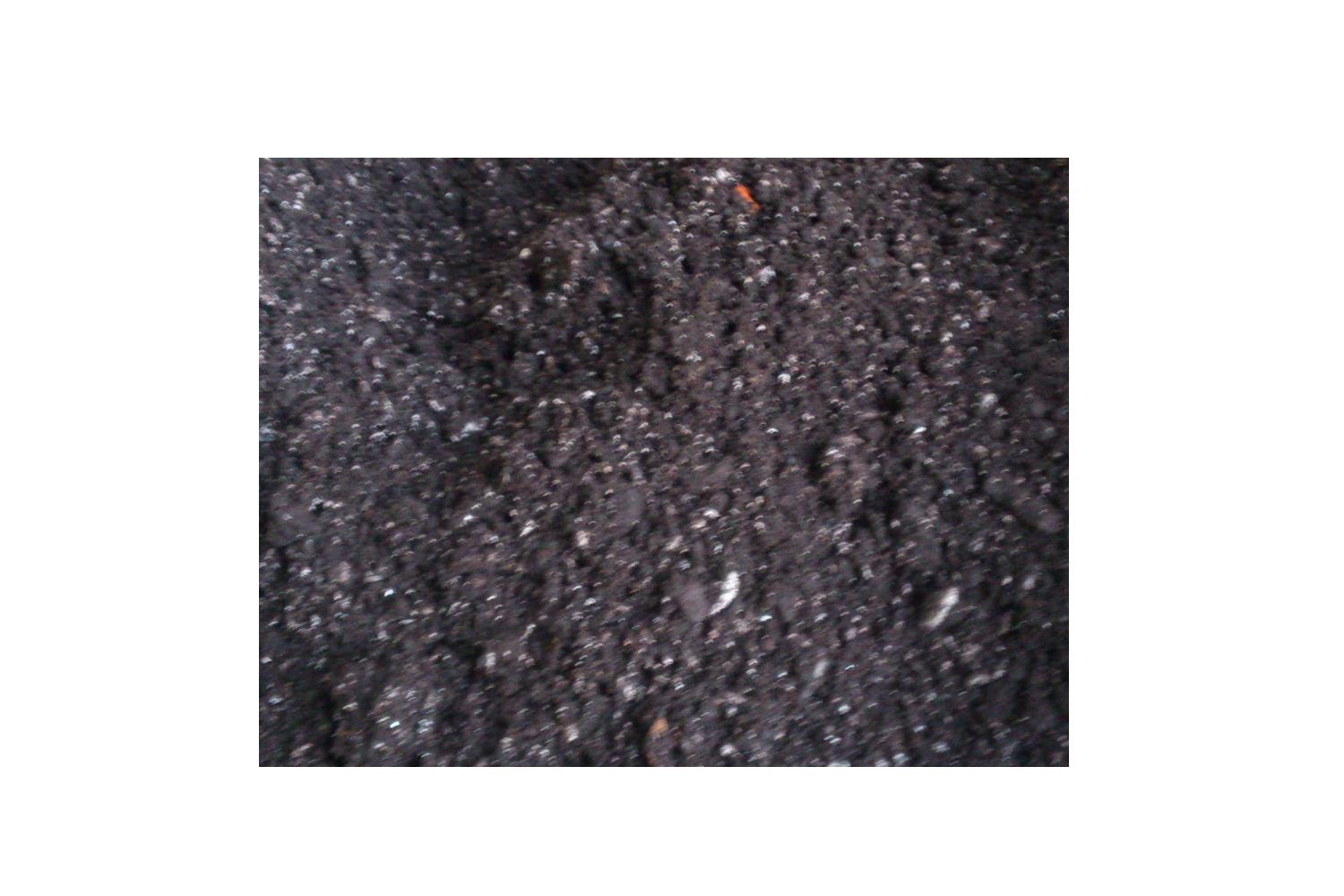 Fischerkönig Wurmerde; 1 Kg.