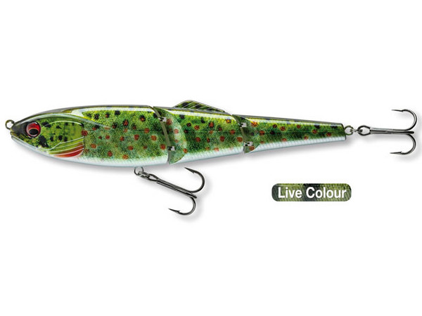 Daiwa PX Joint BT100 Live Brown Trout