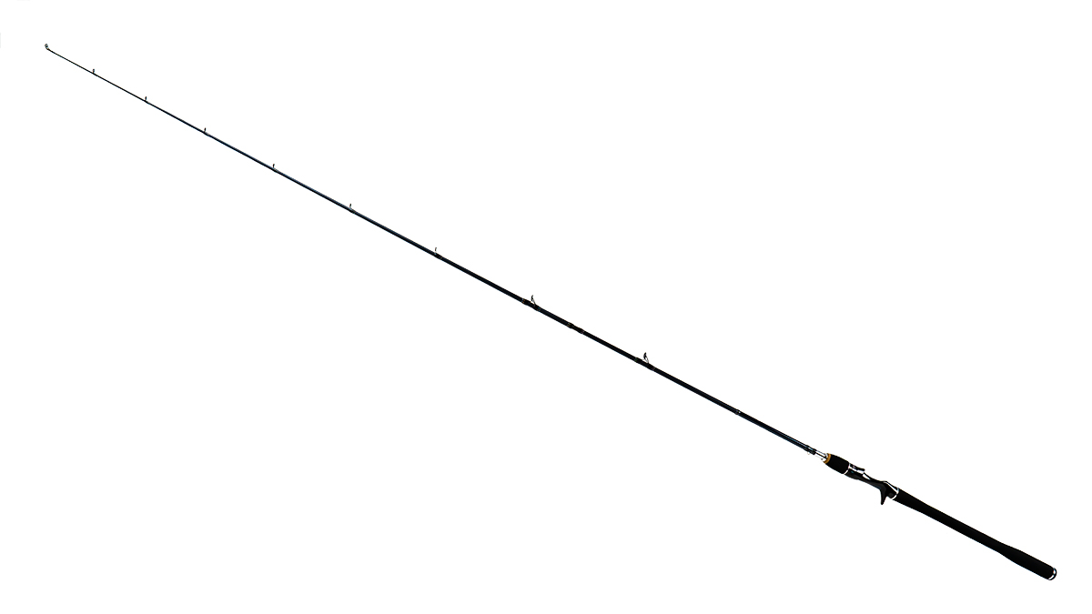 Bullseye Dentist Cast; L: 2,20 m; Wg: 45 - 120 gr.