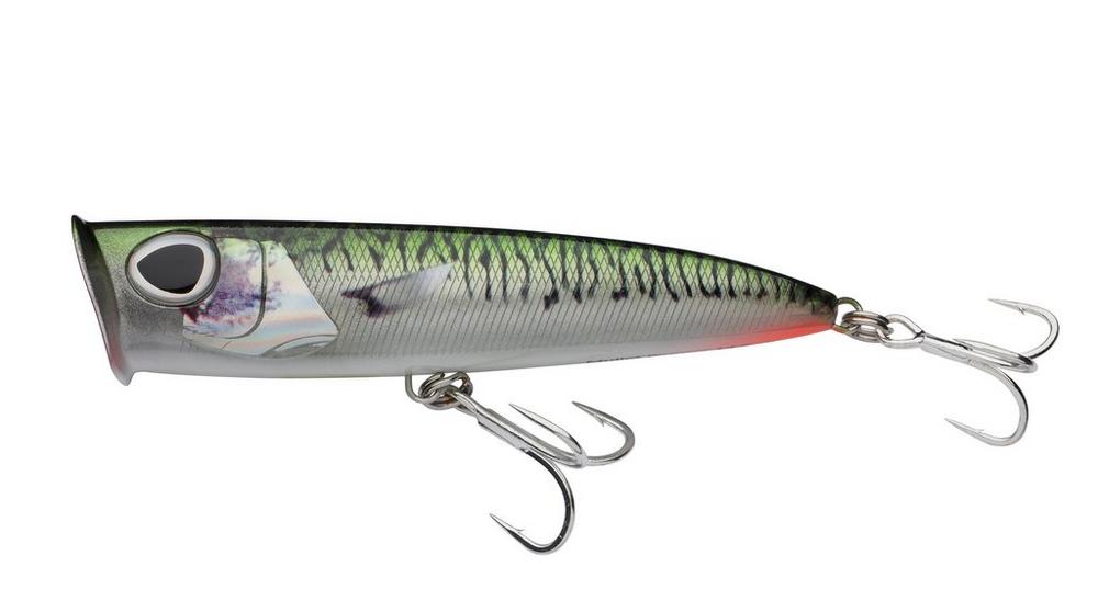 Green Mackerel