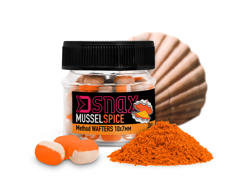 Muscheln-Gewürze