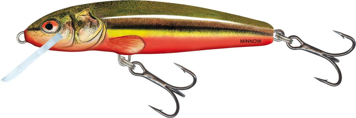 Rainbow Dace 5cm Floating