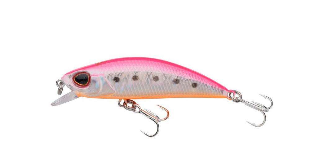 Pink Shrimp