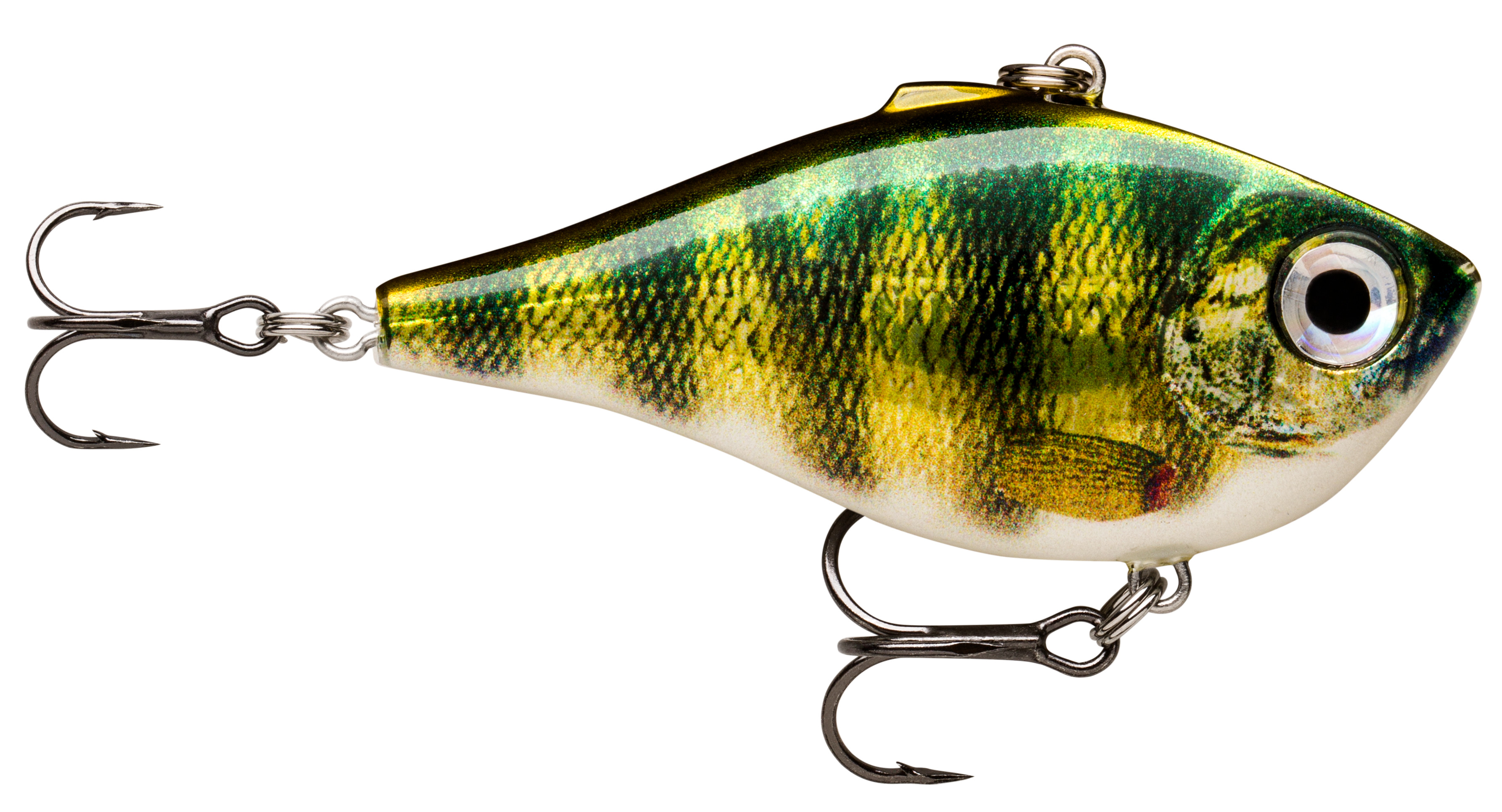 Live Perch