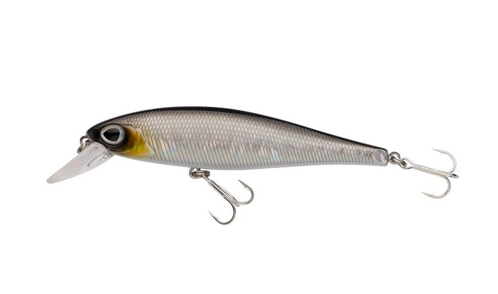 Baitfish